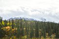 AlaskaTrip445