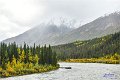 AlaskaTrip446