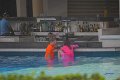Cancun177s