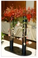 asiafes001s