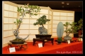 asiafes005s