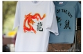 asiafes033s