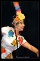 asiafes005s