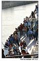 cruise007s