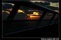 cruise015s
