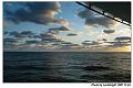 cruise019s