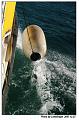 cruise148s
