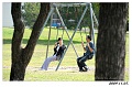 f09picnic015