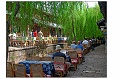 lijiang007s