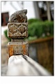 lijiang013s