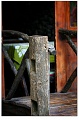 lijiang017s