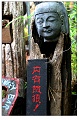 lijiang022s