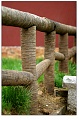 lijiang029s