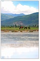 lijiang059s