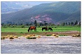 lijiang060s