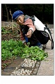 lijiang077s
