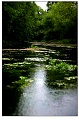 lijiang083s