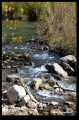 MadinaLake011s